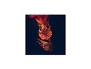 WOLVES AT THE GATE: EULOGIES (LP vinyl *BRAND NEW*.)
