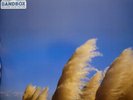 Jimmy Eat World - Static Prevails 2 x Vinyl, LP, Album, Limited Edition, Reissue