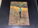 Arlo Guthrie ‎– Hobo's Lullaby - Vinyl MS 2060  Sealed Promo