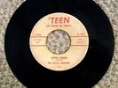 ROYAL DRIFTERS LITTLE LINDA/S' WHY HARD 45 Teen 506 Rare Hawaiian Doo Wop Garage
