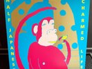 Half Japanese – Charmed Life – Mit Autogrammen - Vinyl