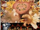Nirvana - Heart Shaped Box - Geffen Records 12