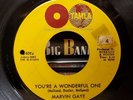 Marvin Gaye - You're A Wonderful One - Tamla 45 VG NORTHERN SOUL
