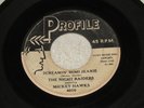 Night Raiders feat. Mickey Hawks - Screamin' Mimi Jeanie - rockabilly - Listen