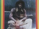 Errol Flabba Holt - Roots Radics Dub LP Reggae Vinyl Originally issued 1981