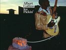 ALBERT COLLINS - ICE PICKIN' (VINYL LP)