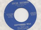FUNK / BREAKS -- RAY GANT & ARABIAN KNIGHTS - CHATTANOOGA WALK / NIGHT IN ARABIA