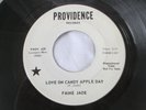 Vintage 1967 FAINE JADE 45 Record Promo Psych Garage Rock Love Candy Apple True