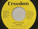 FREEDOM Can’t You See / Sunshine FREEDOM 45 Rare Modern Soul VG++ HEAR
