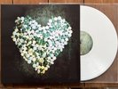 ALKALINE TRIO This Addiction LP pop punk rock emo Coloured Vinyl