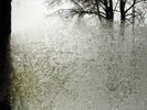 Bon Iver - For Emma, Forever Ago (NEW 12