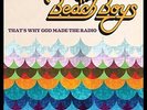 That's Why God Made the Radio (lp) - Beach Boys LP