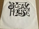 Bleak House. RAINBOW WARRIOR VINYL RARE Buzzard Records 1980. (Buzz 1). RARE WAX