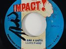 Lloyd Parks 