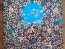 WIZZ JONES Magical Flight LP Vinyl Record 1977 vgc Plant Life PLR 009