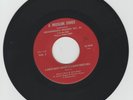 A MUSLIM SINGS/ A WHITE MAN'S HEAVEN IS A BLACK MAN'S HELL - LOUIS X ( ROOTS 7