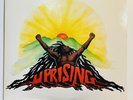 Bob Marley & The Wailers Uprising LP  1980 Island Records EX/EX