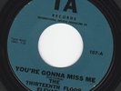 Thirteenth Floor Elevators - You're Gonna Miss Me / Tried To Hide - IA 107  1966