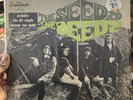 The Seeds, S/T 1st STEREO PRESS 1966 GNP 2023 / Hear / In Shrink /Garage / Psych