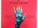 THE FLESH EATERS A Minute to Pray a Second to Die LP 1981 Org. Ruby Punk RARE