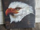 Mogwai - 2013 The Hawk Is Howling UK - Vinyl Record LP Album NM