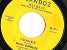 White Lightnin' Sandoz Records 45 Blue Man/Leaves Fuzz garage Norman Petty