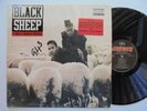 BLACK SHEEP A Wolf In Sheep's Clothing MERCURY Hype Sticker + Rap Hip Hop LP