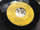 45 RPM Mambo Twist / Soup Bone Chaz + 2 MAB-JAB Records * RARE