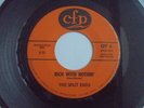The Split Ends - Rich With Nothin' 1966 USA 45 CFP EX+ GARAGE PSYCH