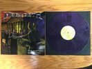 Megadeth - The System Has Failed 180 GRAM PURPLE Vinyl #636/1000 OOP Excellent
