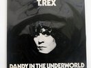 T.REX DANDY IN THE UNDERWORLD T.REX SP20 5065 JAPAN VINYL LP