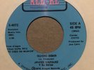JAVIER VAZQUEZ - Quiero Beber /Que Me Importa - Latin/salsa 45 Rpm Alegre X-4072