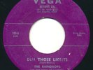 RAINDROPS Dim Those Lights / Oh Oh Baby VEGA Obscure West Coast Doo Wop 45 Hear