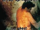 Bruce Springsteen The Ghost Of Tom Joad Records & LPs New