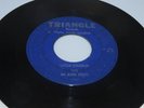 THE IN AND OUTS-LITTLE CHARLIE/MOON MIST-GARAGE ROCK CAYCE, SC-TRIANGLE-REC-HEAR