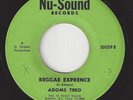 Reggae Funk 45 - The EQUITABLES - Reggae Exprence / Old Time Kaio