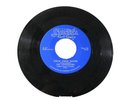 45 RECORD - THE DANDERLIERS - CHOP CHOP BOOM