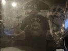 Jay-Z - The Black Album