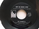 THE STANDELLS  