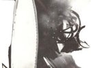 Unkle- Never, Never, Land - 3LP - Picture Discs - NM Vinyl
