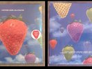 Lightning Seeds Jollification vinilo lp + 7 - strawberry rojo 500 unidades