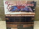NEW  GIN BLOSSOMS New Miserable Experience LP Allison Road Sealed BEST DEAL