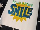 BRIAN WILSON PRESENTS SMILE - ORIGINAL VINYL EU NONESUCH PRESS - 7559-79846-1