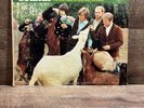 The Beach Boys-Pet Sounds vinyl LP T-2458 capitol records