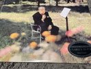 Classic Records The Reiner Sound 200g Clarity Super Vinyl Living Stereo 2183