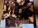 Necrophagist 