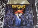 FLESHCRAWL descend into the absurd 1/300 CLR VINYL LP death metal epitaph grave