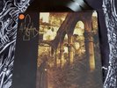 AT THE GATES gardens of grief COLOR VINYL LP metal afflicted carnage dismember