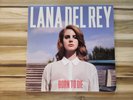 Lana Del Rey - Born To Die 2LP Vinyl & Paradise LP w/ Insert VG Condition