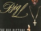 Big L - The Big Picture (1974 - 1999) '00 2xLP US ORG VG+/EX